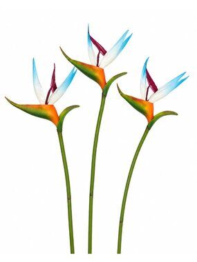 Bird of Paradise Stems Set of 3 Artificial Tropical Flowers 24 Inch Faux Floral